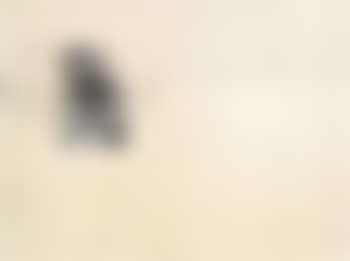 Four chairs number 6 (preview)