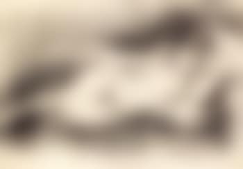 Nu couche (preview)