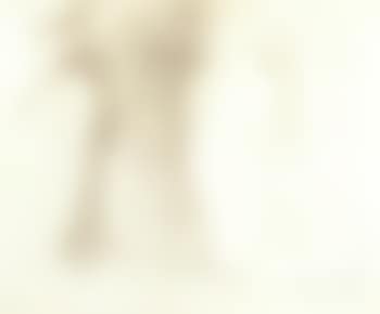 Mannequins (preview)