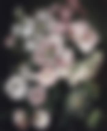 Mixed flowers (preview)
