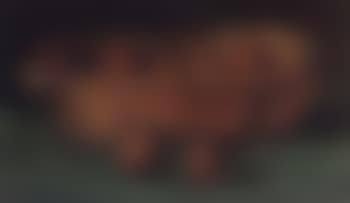 Fruit bowl, still life (preview)