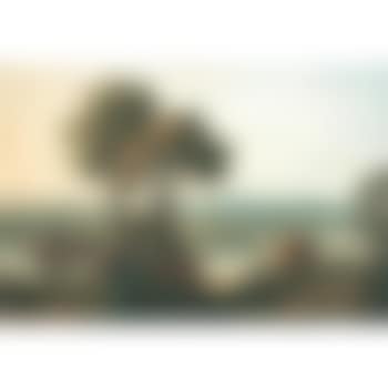 View of Chester (preview)