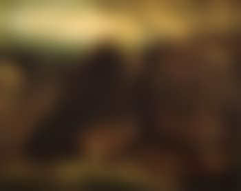 Landscape, twilight (preview)