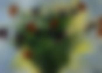 Flowers (preview)