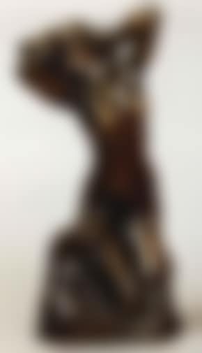 Venus a sa toilette (preview)