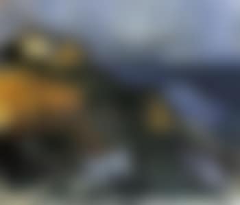Marine (preview)