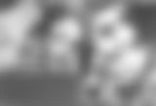 Hommage a Picasso (preview)