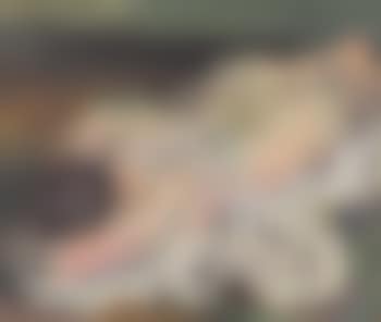 Female nude (preview)