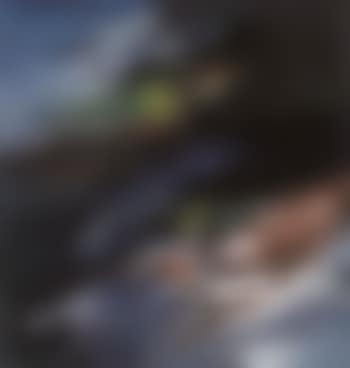 Untitled (preview)