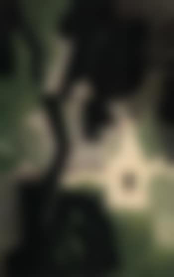 Paysage avec un arbre et des maisons (preview)