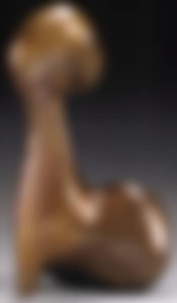 Animal de reve (preview)
