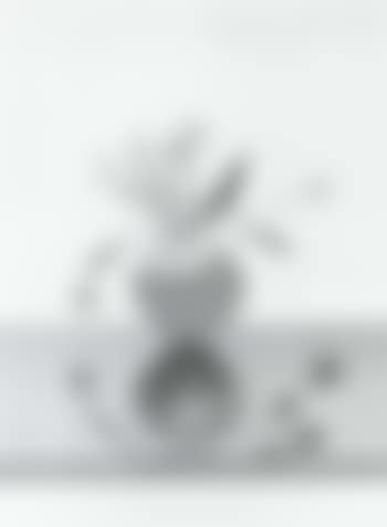 The Weather Series (preview)