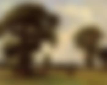 Shady elms, Hertfordshire (preview)