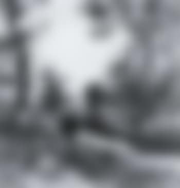 Ruisseau (preview)