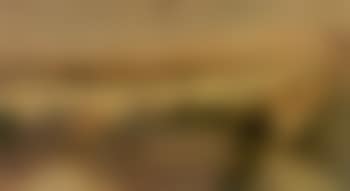 Quebec river landscape (preview)