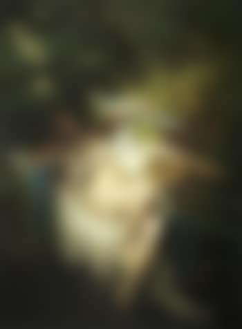 Leda and the swan (preview)