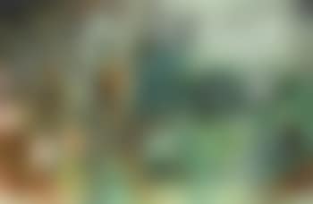 Let any flowers bloom (preview)