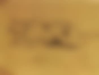 Nu (preview)