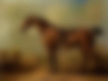 Wasp, saddled bay hunter, in landscape (preview)