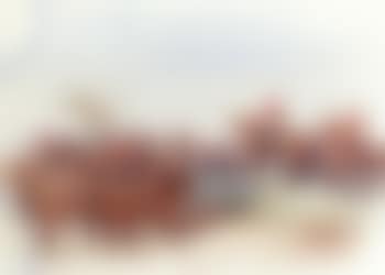 The 2nd Queen's Dragoon Guards (preview)