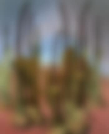 Organic forms (preview)