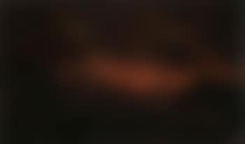 Forest fire (preview)