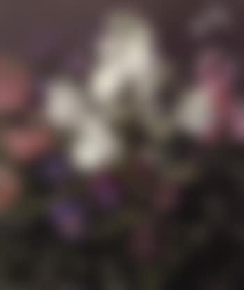 Still life of purple pansies, white and pink flox and cabbage whites (preview)