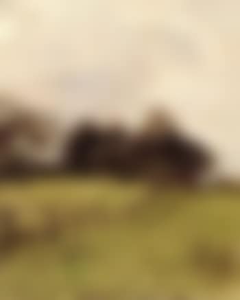 Field landscape with trees by fence (preview)