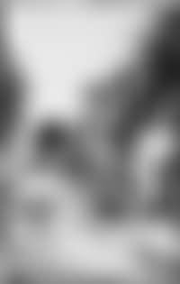 Lakeland scenes with figures (preview)