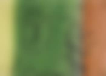 Totem (preview)