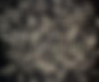 Grey (preview)