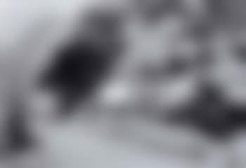 Raw Head Farm, Langdale (preview)