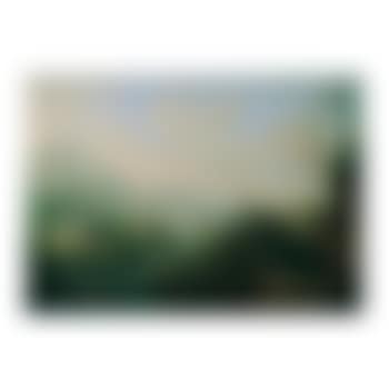 Extensive Rhenish landscape (preview)