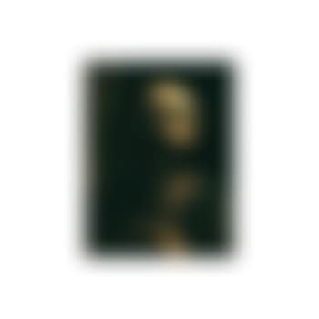 Study of man, in raking light (preview)