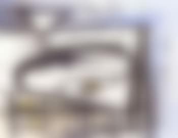 Nature morte aux orphies (preview)