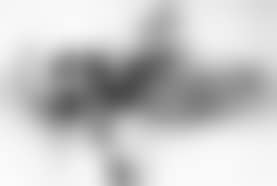 Composition (preview)