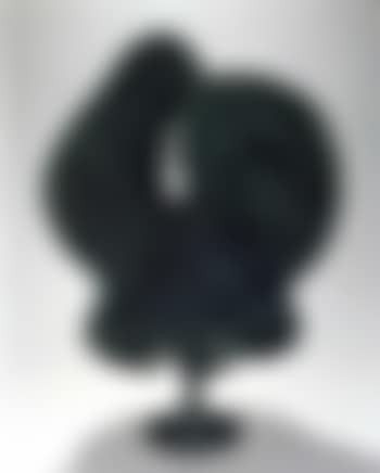 Untitled, green bush (preview)