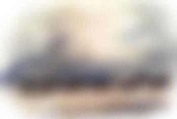 Cape coach with Table Mountain beyond (preview)