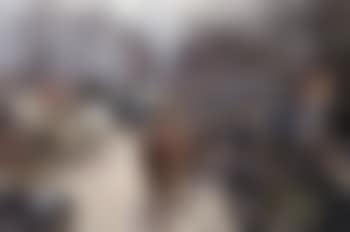 Meet of the Quorn (preview)