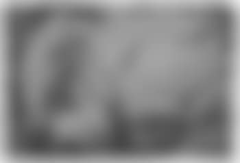Traveller on a bridge in a wooded landscape (preview)