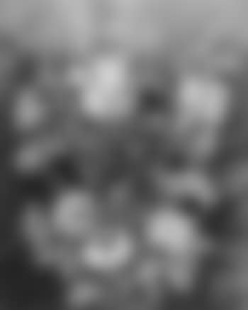 Flowers (preview)