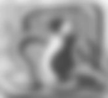 Still life (preview)