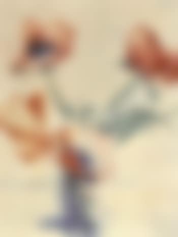 Poppy seeds (preview)