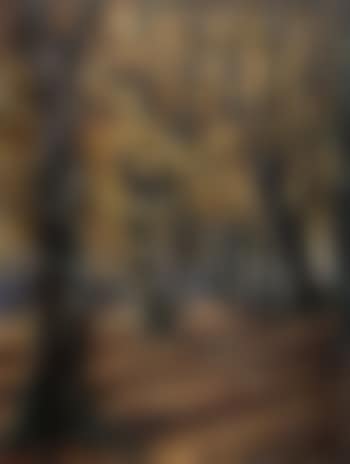 Wooded landscape (preview)