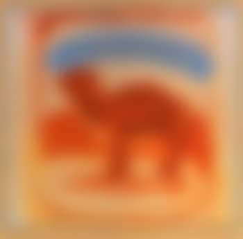 Camel (preview)