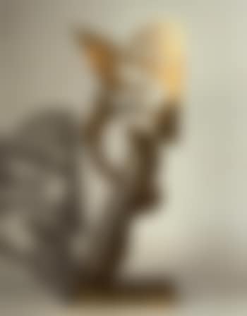 Untitled (preview)