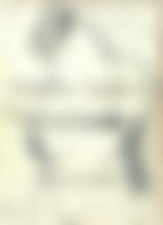Horse (preview)