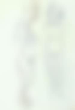 Female nudes (preview)
