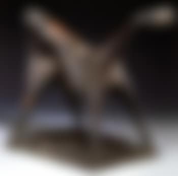 Cavaliere (preview)