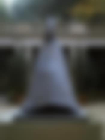 Grande cardinale seduto (preview)